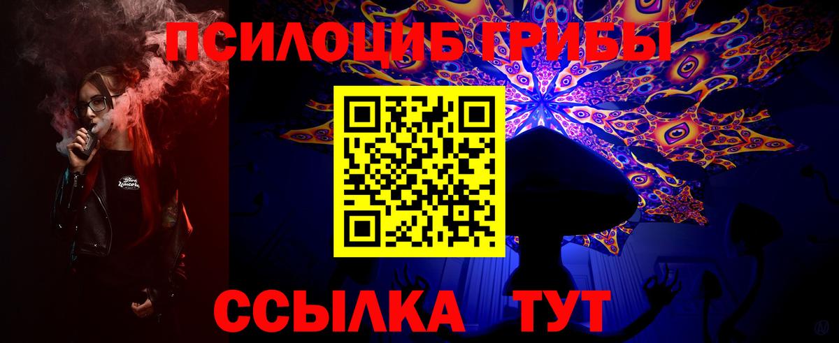 Галлюциногенные грибы GOLDEN TEACHER  Вход с VPN  Курганинск 