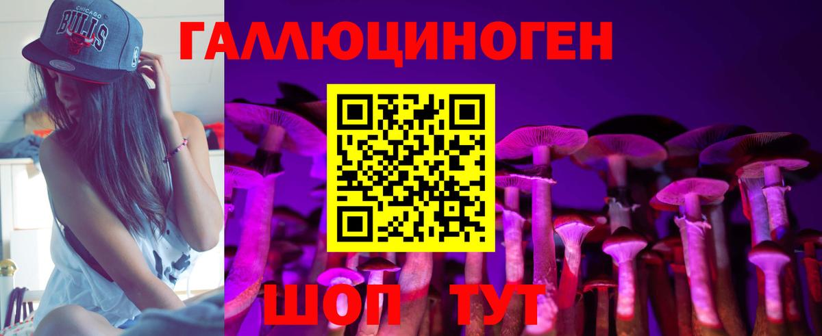 Псилоцибиновые грибы ЛСД Курганинск